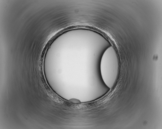 X0000096380879200801241001