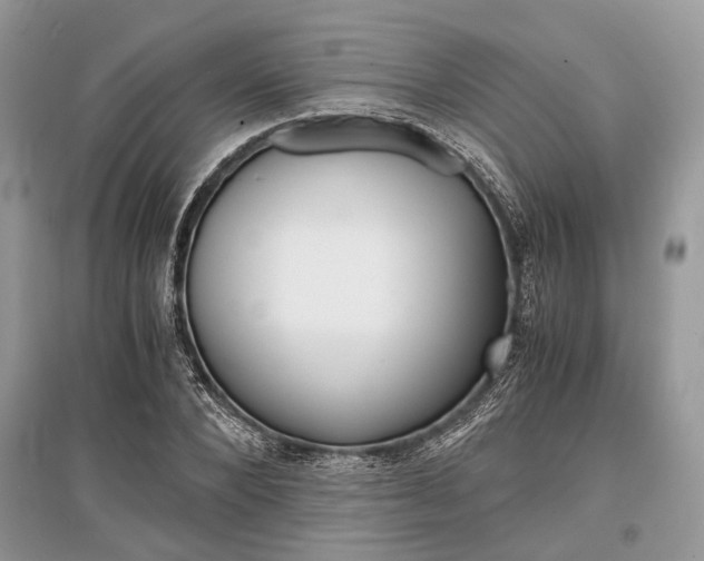 X0000096380880200801241001