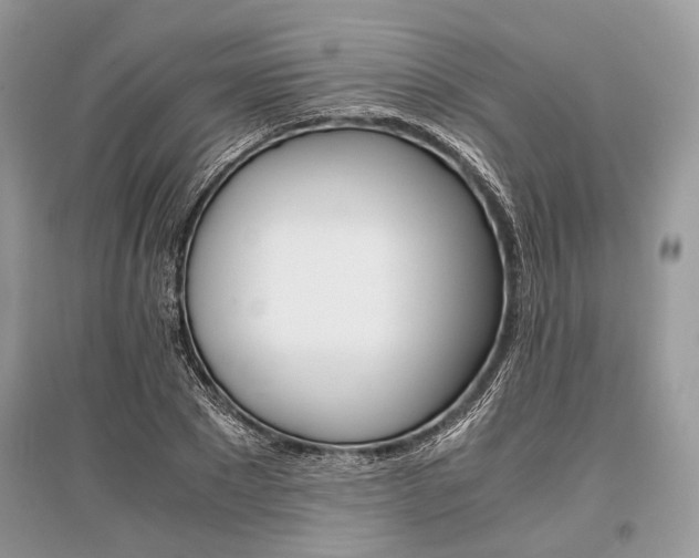 X0000096380881200801241000