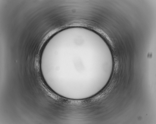 X0000096380882200801241000