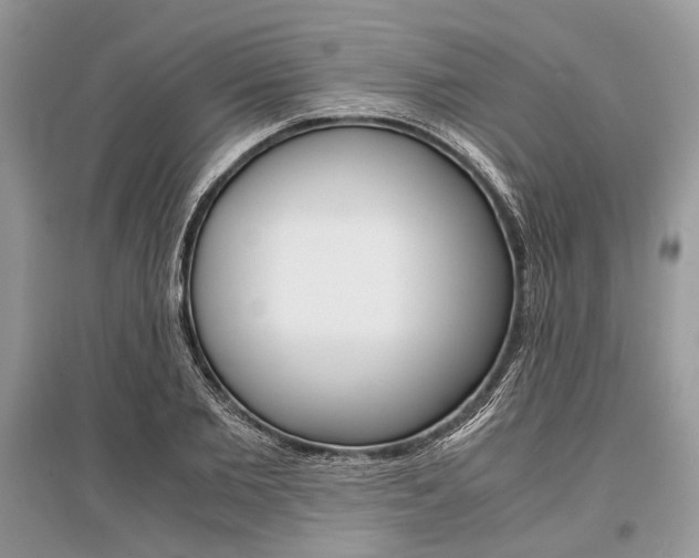 X0000096380885200801241000