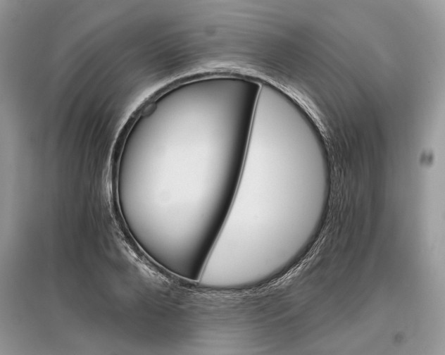 X0000096380888200801241000