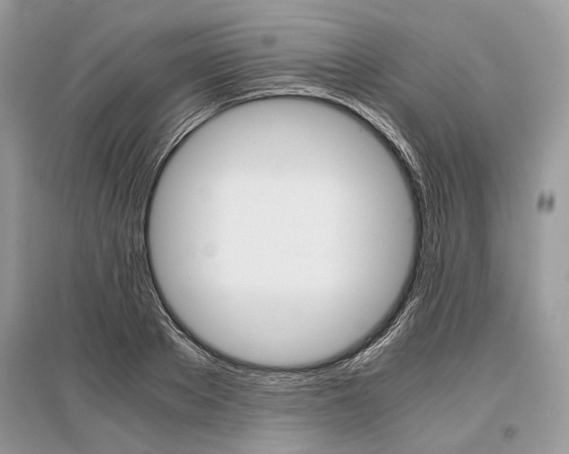 X0000096380889200801241000
