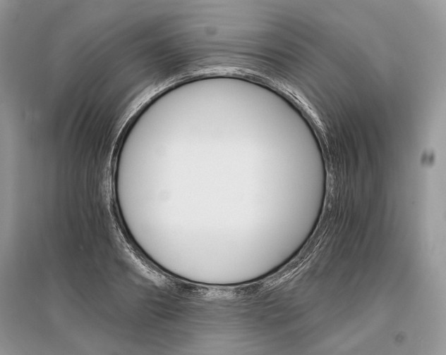 X0000096380890200801241000