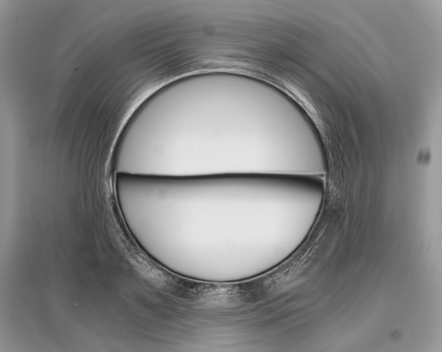 X0000096380891200801241000