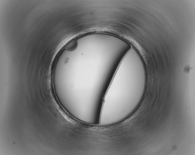 X0000096380894200801241000