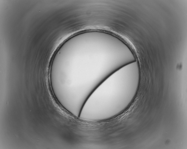 X0000096380895200801241000