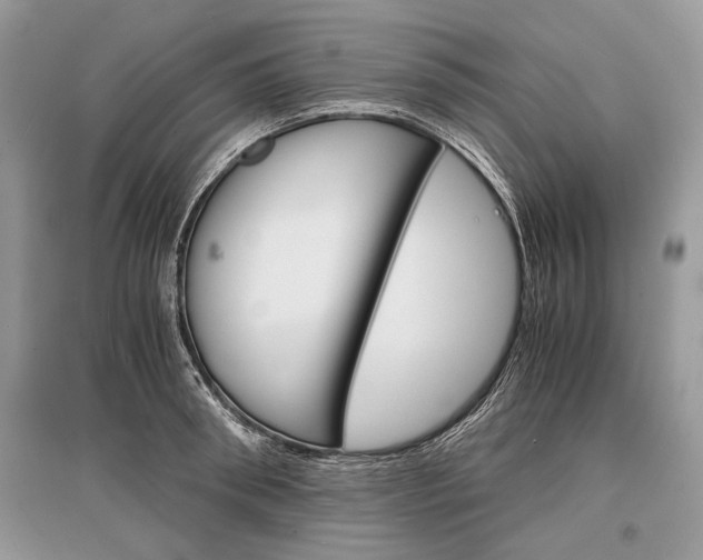 X0000096380898200801241000