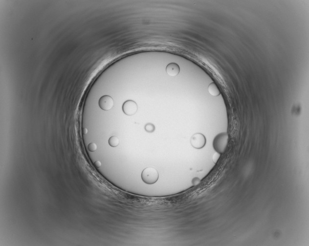 X0000096380899200801241000