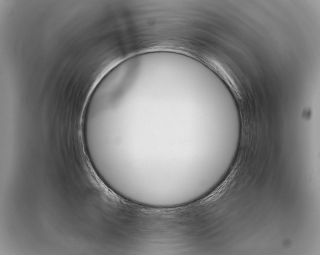 X0000096380900200801241000