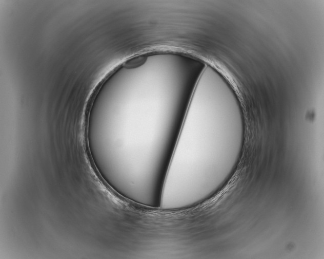 X0000096380902200801241000