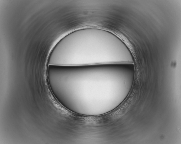 X0000096380904200801241000