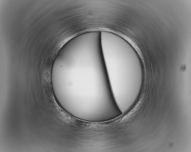 X0000096380905200801241000