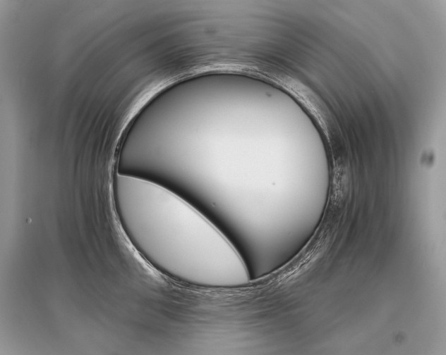 X0000096380906200801241000