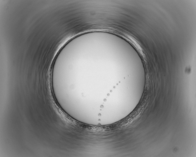 X0000096380907200801241000