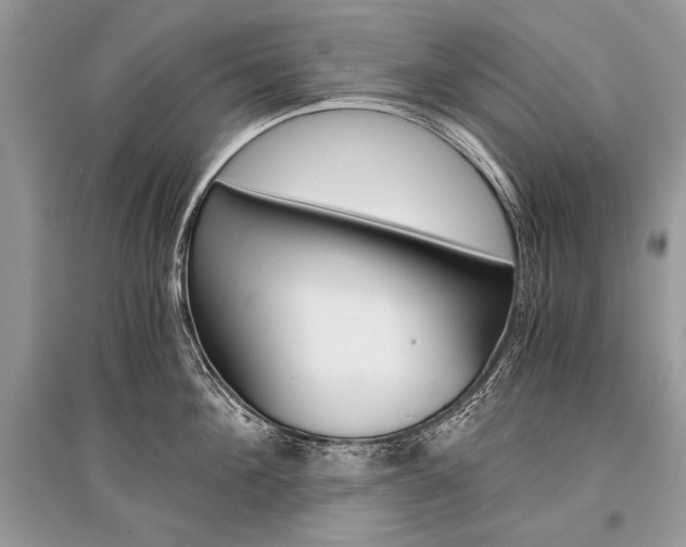 X0000096380908200801241000