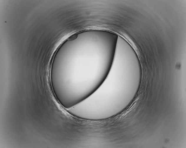 X0000096380909200801241000