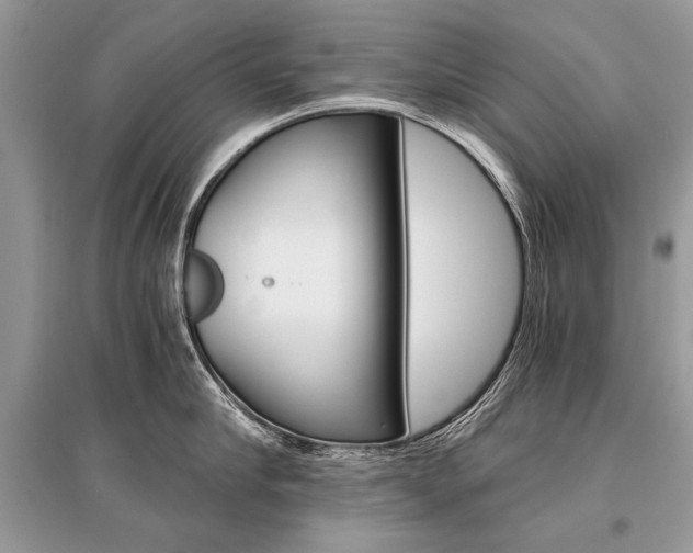 X0000096380910200801241000