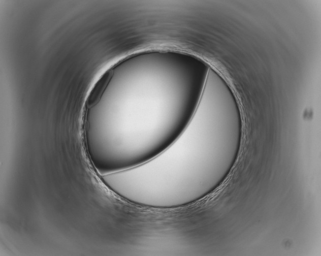 X0000096380912200801241000