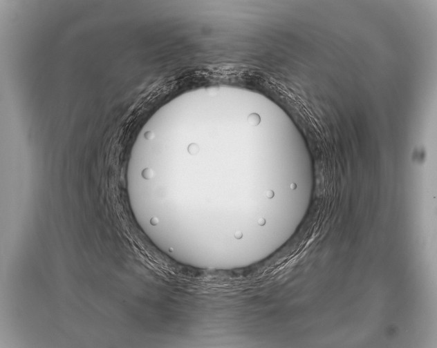 X0000096380913200801240959