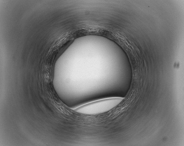 X0000096380916200801240959