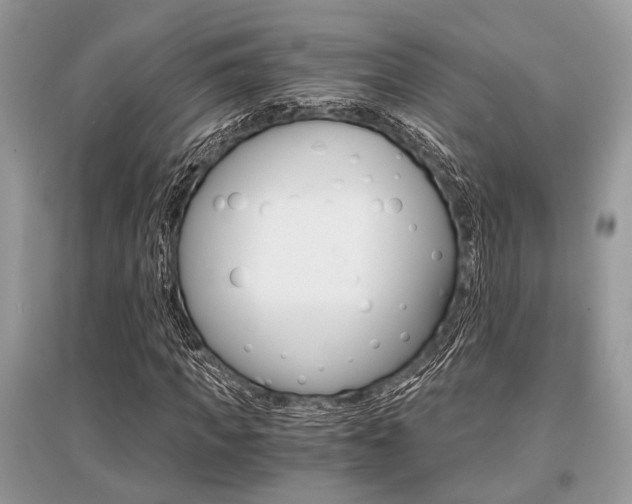 X0000096380917200801240959