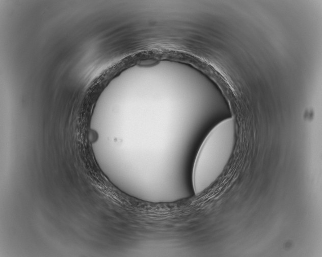 X0000096380919200801240959
