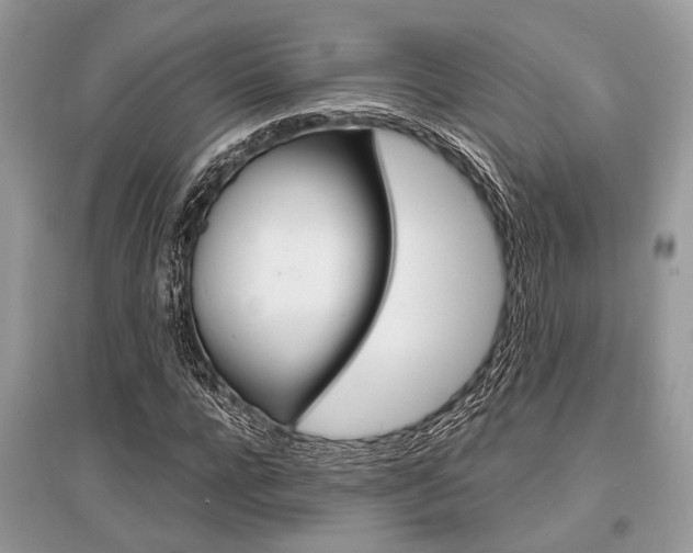 X0000096380920200801240959