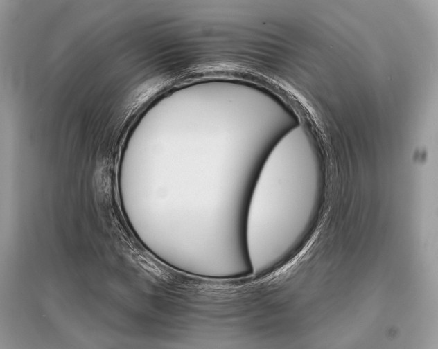 X0000096380921200801241000