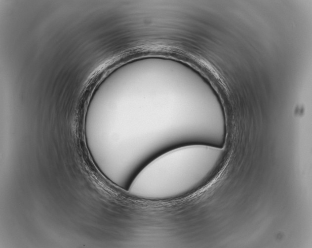 X0000096380922200801241000