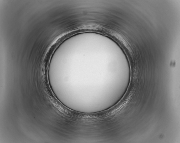 X0000096380923200801241000