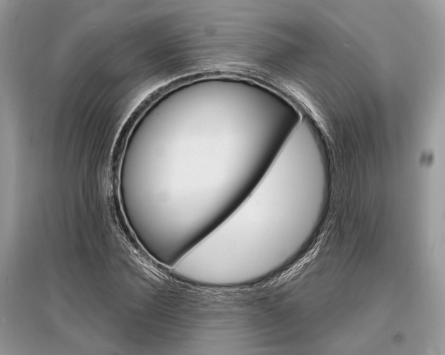 X0000096380924200801241000