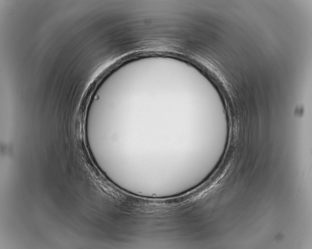 X0000096380925200801241000