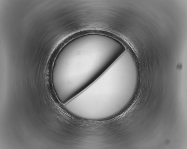 X0000096380926200801241000
