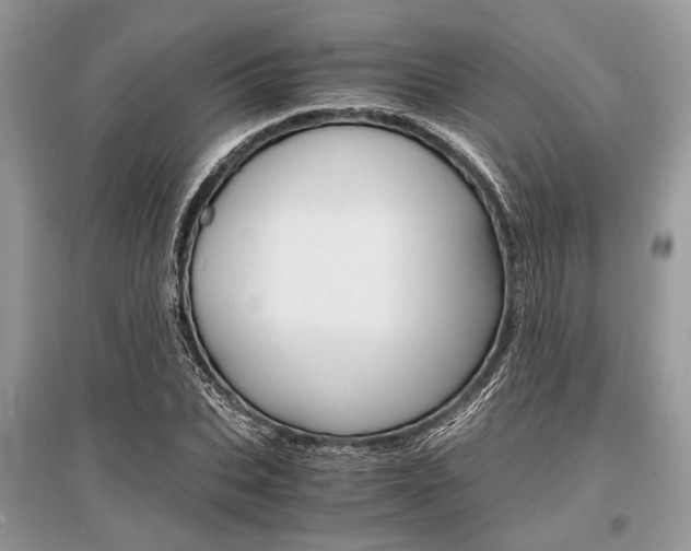 X0000096380927200801241000