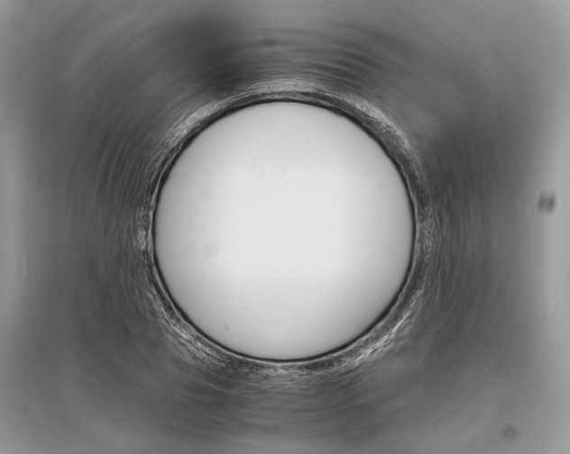 X0000096380929200801241000