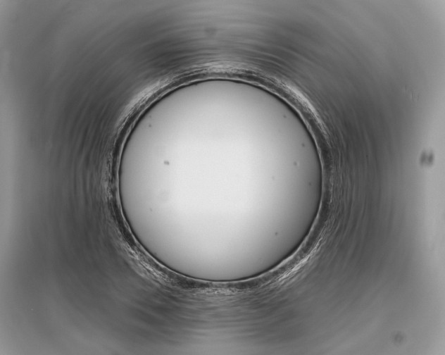 X0000096380930200801241000
