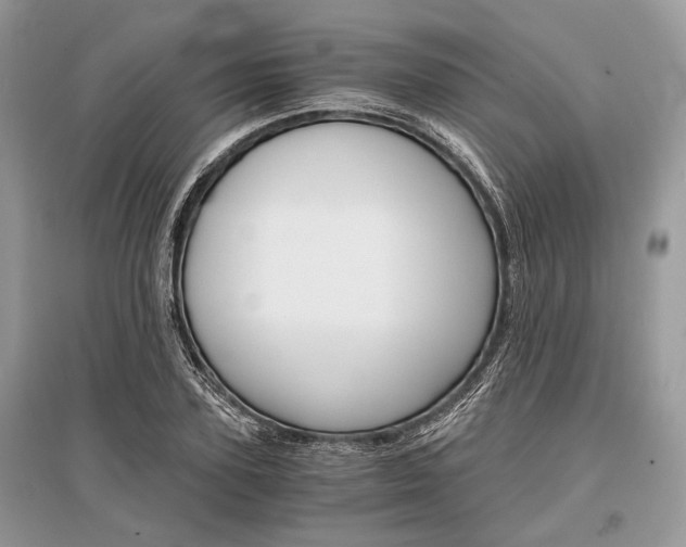 X0000096380931200801241000
