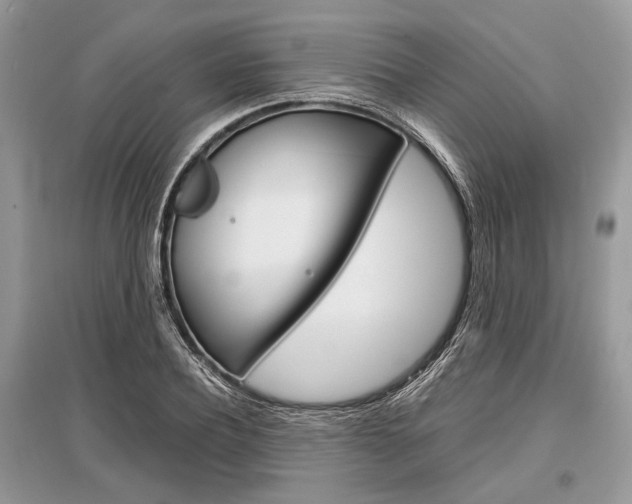 X0000096380932200801241000