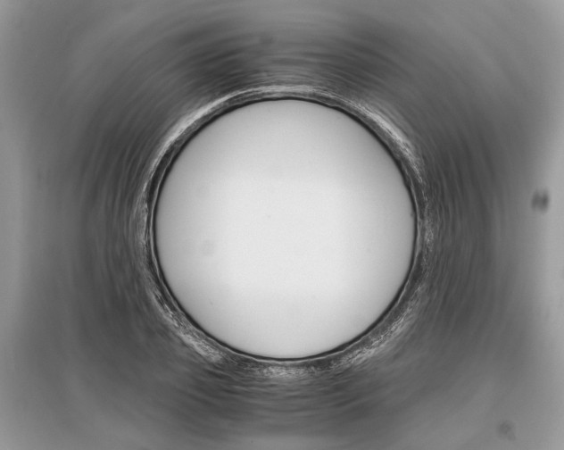 X0000096380933200801241000