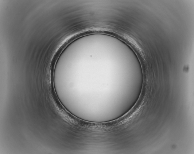 X0000096380934200801241000
