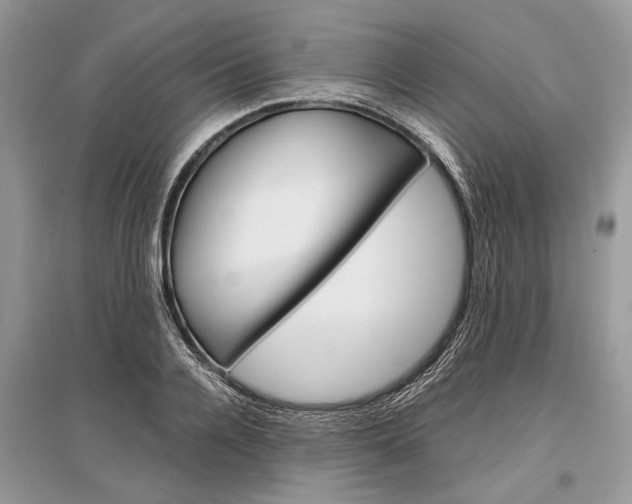 X0000096380936200801241000