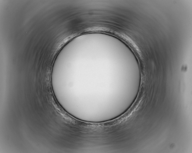 X0000096380937200801241000