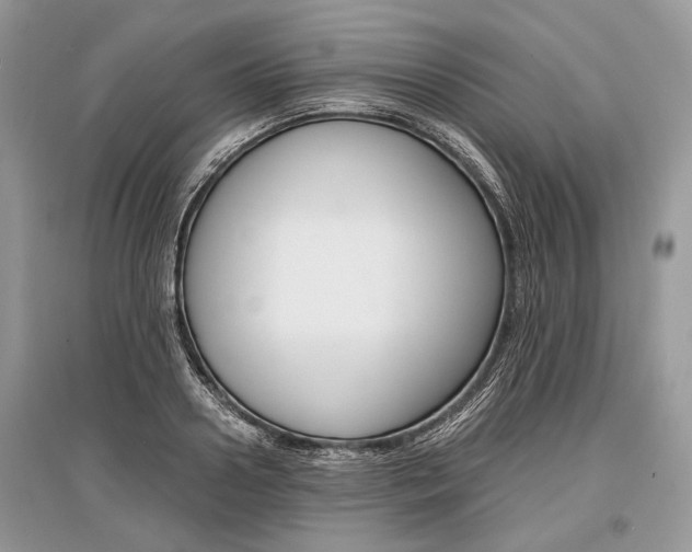 X0000096380938200801241000
