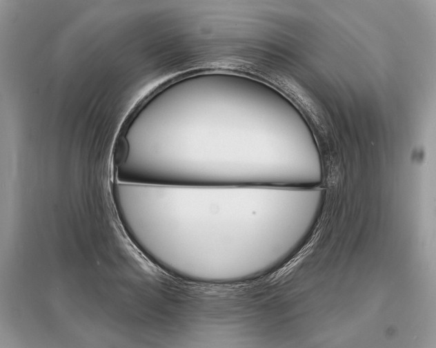 X0000096380940200801241000