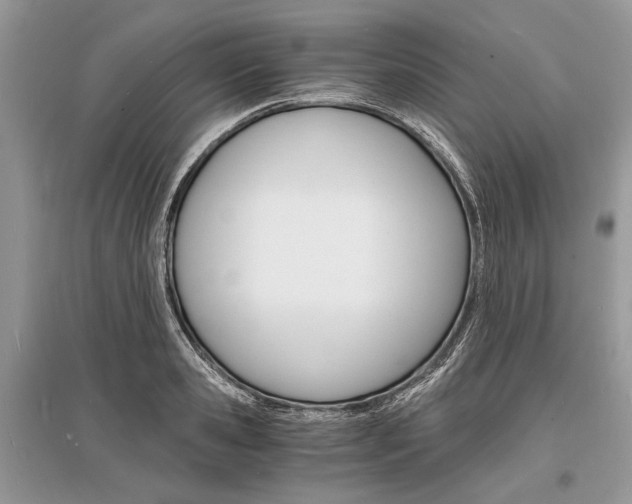 X0000096380941200801241000