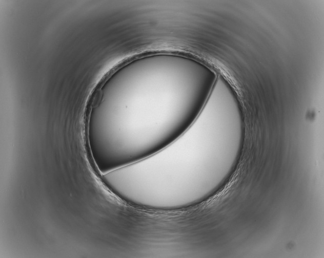 X0000096380942200801241000