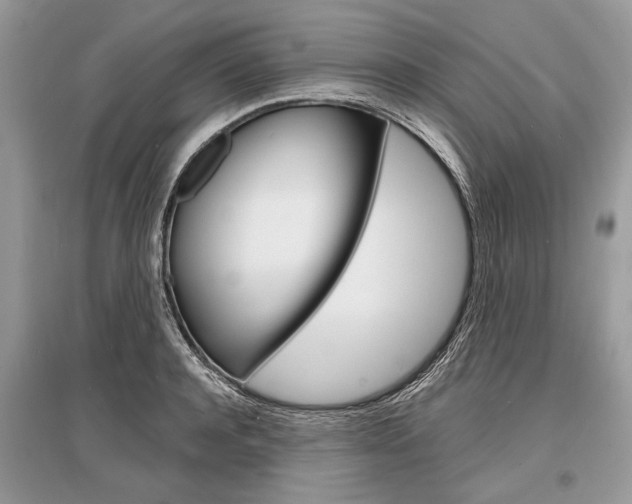 X0000096380944200801241000