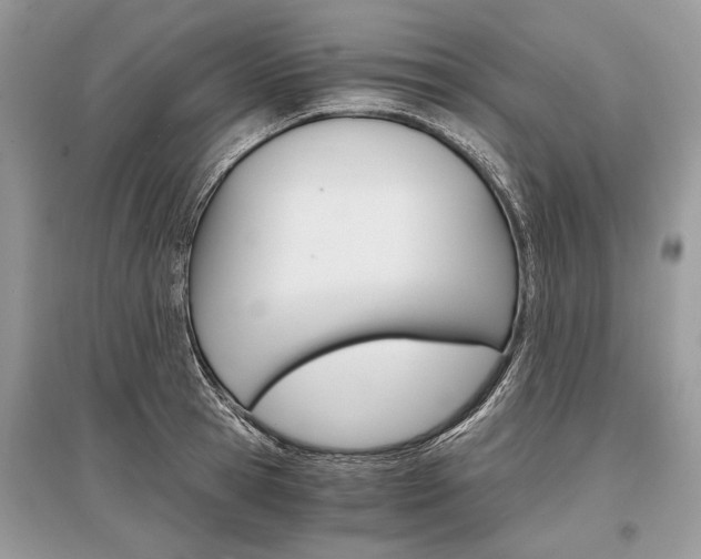 X0000096380945200801241000