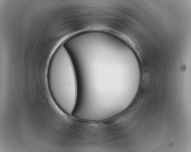 X0000096380947200801241000
